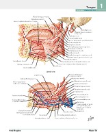 Frank H. Netter, MD - Atlas of Human Anatomy (6th ed ) 2014, page 76